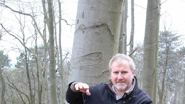 Grünflächenamtsleiter Bernhard Ledermann mit einer jungen Buche. Zunächst soll abgewartet werden, was von allein nachwächst.