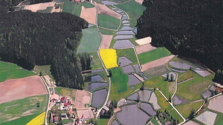 Im Waldgebiet rechts im Bild zwischen Traishöchstädt (vorne) und Arnshöchstädt (hinten) hat die Gemeinde Dachsbach den Bau von zwei Windrädern geplant. Foto: Gemeinde Dachsbach