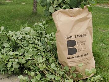 Gartenabfallsammlung in Bamberg: Stadt mit "großer Bitte"