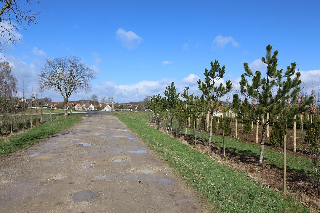 SoS Hausen im Landkreis Forchheim; Foto: Barbara Herbst