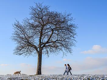Schmuddelwetter dominiert Franken im November 2025 mit Regen, Wind und Frost, während höher gelegene Regionen Bayerns Schnee erwarten.