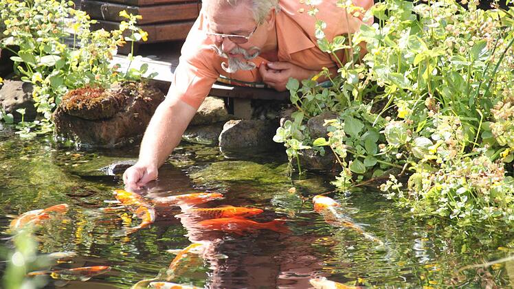 Die Zierfische fressen ihm im wahrsten Sinn des Wortes aus der Hand.