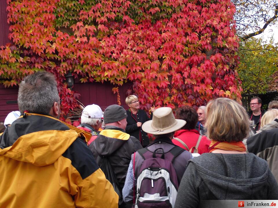 ABO Plus Bus-Wander-Tour Handthal_29.10.2016