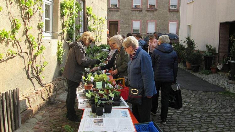 Foto: Winfried Ehling