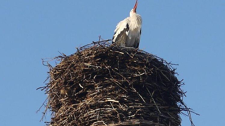 Der Horst auf dem Schlot der Brauerei Schleicher in Kaltenbrunn im Itzgrund hat am Montag  zum ersten Mal in diesem Jahr Besuch von einem Storch bekommen. - Foto: Berthold Köhler