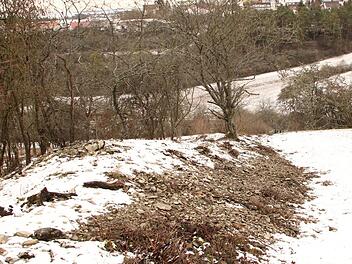 Steinriegel sind Relikte des historischen Weinbaus. Heute genießen sie bei Naturschützern einen guten Ruf als wertvoller Lebensraum für wärmeliebende Tiere und Pflanzen. Heike Beudert