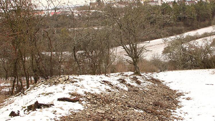 Steinriegel sind Relikte des historischen Weinbaus. Heute genießen sie bei Naturschützern einen guten Ruf als wertvoller Lebensraum für wärmeliebende Tiere und Pflanzen. Heike Beudert