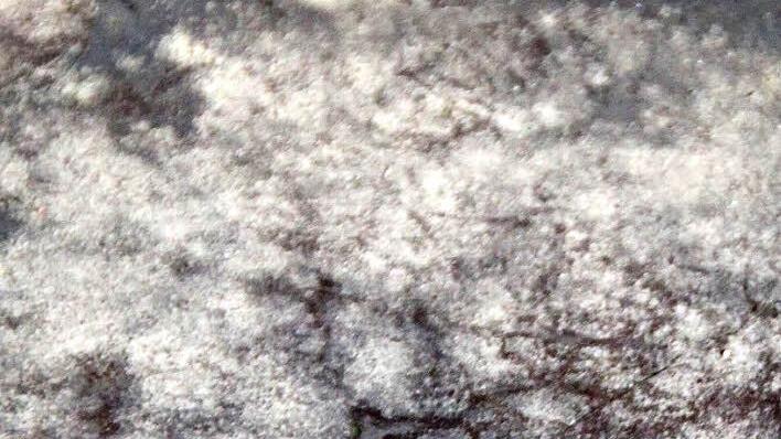 Schimmel auf dem Glas.