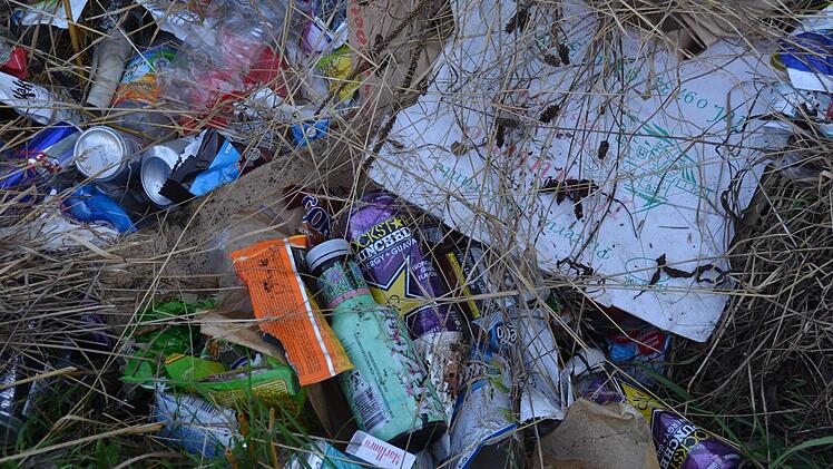 Beim näheren Blick auf zahlreichen Getränkedosen, Flaschen und Pizzakartons wird schnell klar: Hier hat jemand die Überreste einer Party illegal entsorgt. Foto: Kathrin Kupka-Hahn