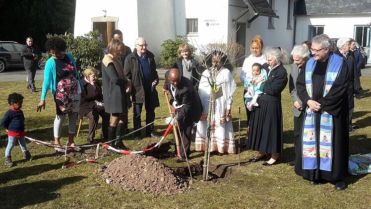 Zur Erinnerung an einen denkwürdigen Tag pflanzten Berhanu Abebe und dessen Frau Roman Shugute nach der Taufe ihrer Tochter einen Baum. Freunde und Unterstützer der Eltern begleiteten die Aktion.Foto: Rolf Pralle