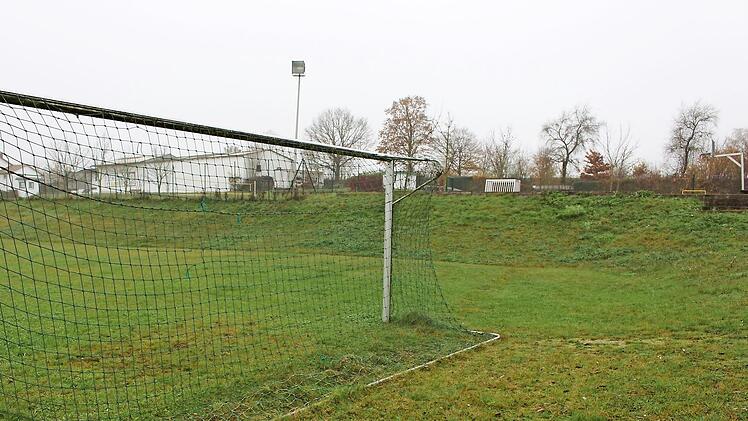 Im Norden und Nordosten des TSV-Geländes sollen in Kürze zwanzig Bäume gepflanzt werden. Damit wird der landschaftspflegerische Begleitplan vollzogen, der bereits bei der Ausweisung des Geländes erstellt wurde. Foto: Evi Seeger