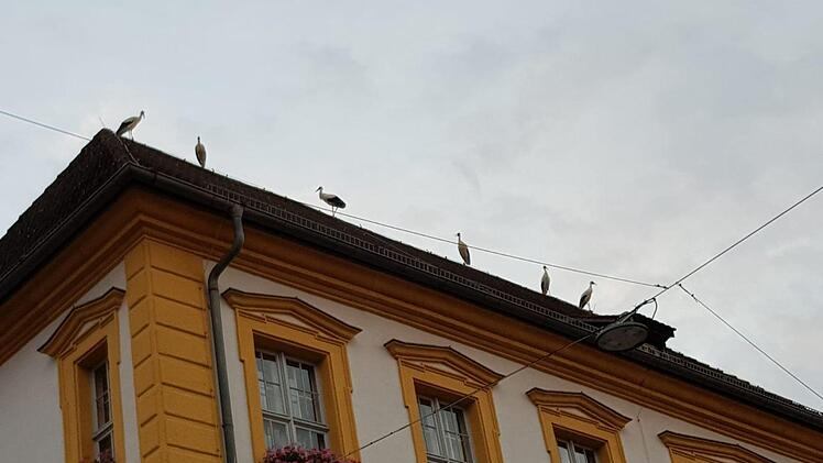 Foto: Luisa Dörr