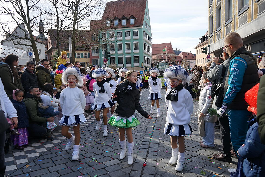 Die schönsten Bilder vom Faschingsumzug Bamberg 2024