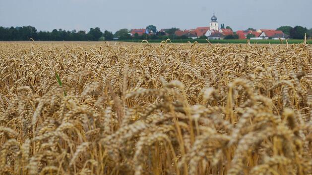 Landleben pur: Gernach Fotos: G&uuml;nter Flegel