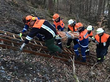 Glücklicherweise nur eine der Übungen 2018: "Verunglückter Waldarbeiter" wird   geborgen.   Thomas Hüfner