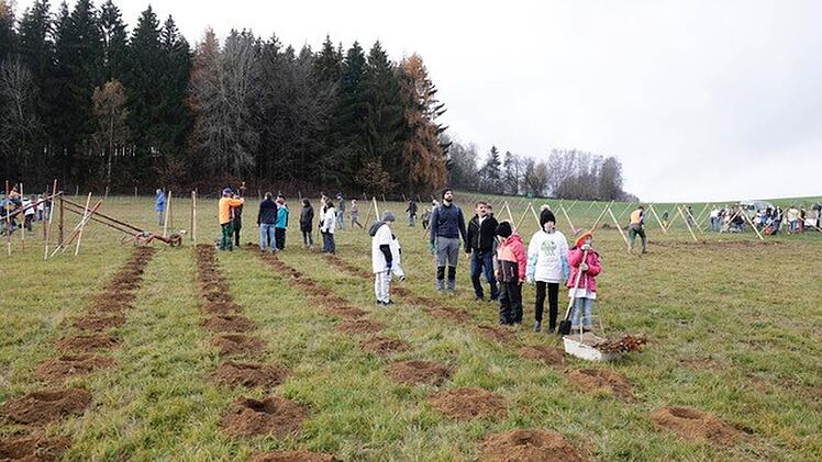 Kulmbach: Kinder lernen bei Aktionstag mehr &uuml;ber Klimakrise - und werden Teil der Baumpflanzaktion