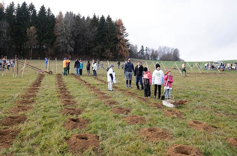 Kulmbach: Kinder lernen bei Aktionstag mehr über Klimakrise - und werden Teil der Baumpflanzaktion