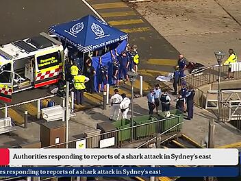 Haiangriff in einem Vorort von Sydney