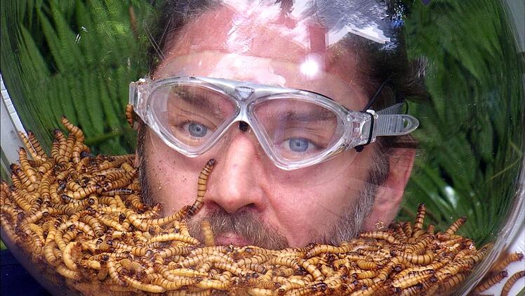 Devise: Mund geschlossen halten. Gil k&auml;mpfte sich mit Bravour durch seine letzte Pr&uuml;fung.