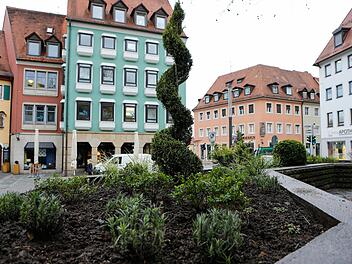 Blickfang in den neu bepflanzten Hochbeeten sind mehrere spiralenförmig geschnittene Scheinzypressen. Foto: Matthias Hoch