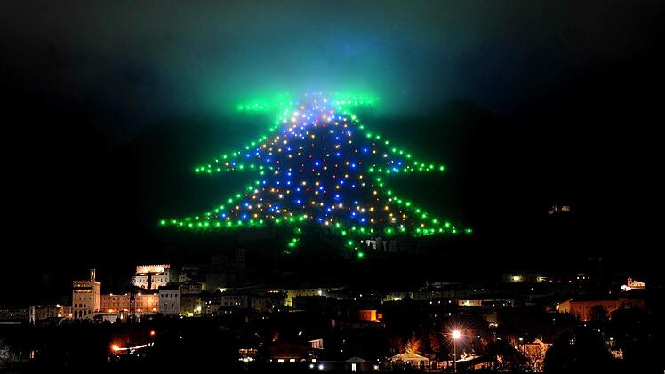 Weihnachtsbaum an den Hängen des Monte Ingino im Apennin