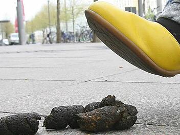 Hundekot sorgt für Diskussionen in Coburg.Foto: Peter Förster/dpa