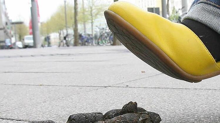 Hundekot sorgt für Diskussionen in Coburg.Foto: Peter Förster/dpa
