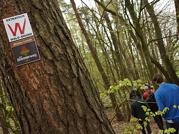 Die Whiskey-Schleife führt durch den Wald. Foto: Arkadius Guzy