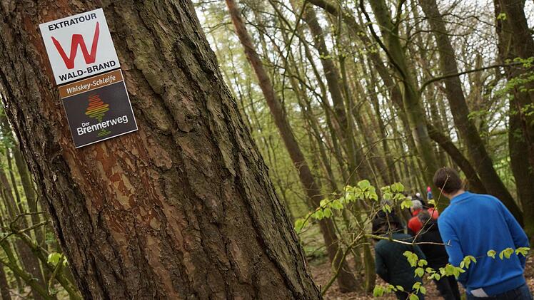 Die Whiskey-Schleife führt durch den Wald. Foto: Arkadius Guzy
