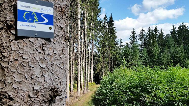 Der Dörnach-Steig führt auf 7,6 Kilometern durch die hügelige Landschaft bei Wallenfels. Foto: Archiv