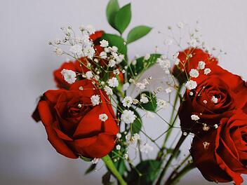 Warum verschenkt man Blumen zum Valentinstag?