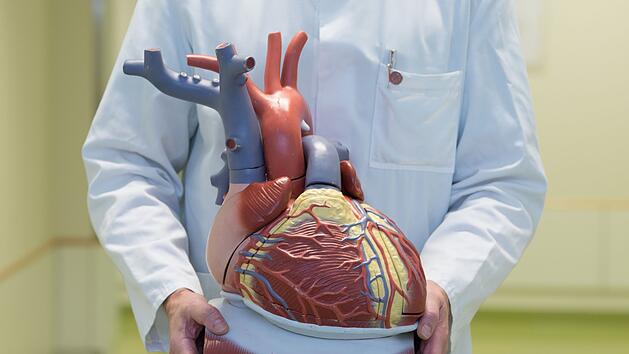 Herz-Kreislauf-Erkrankungen