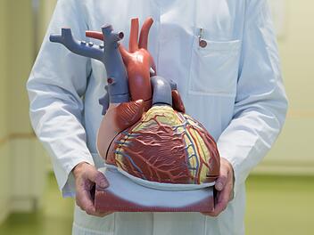 Herz-Kreislauf-Erkrankungen