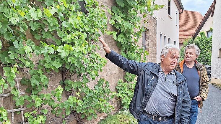 Bei seiner Dorff&uuml;hrung zeigt Willi Pecht die fruchtbare Seite Brambergs.
