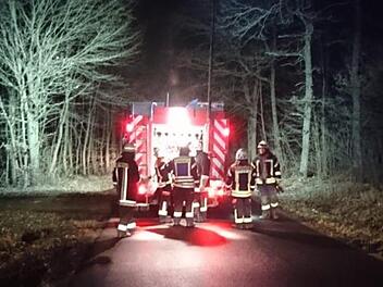 Die Feuerwehr Poppenlauer leuchtet den Wald in Richtung Wermerichshausen aus. Später wird die Straße gesperrt. Fabian Hochrein/Feuerwehr Poppenlauer