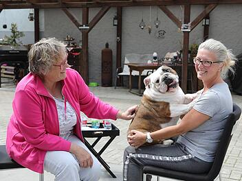 Sommerinterview mit Hund - in Wattendorf
