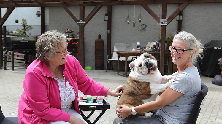 Sommerinterview mit Hund - in Wattendorf