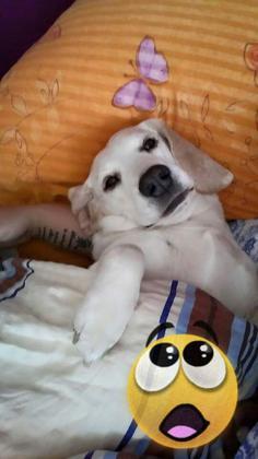 Foto: Nicole Hrdina