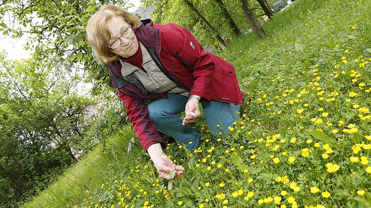 Impressionen aus Edith Wagners Kräutergarten Foto: Matthias Hoch