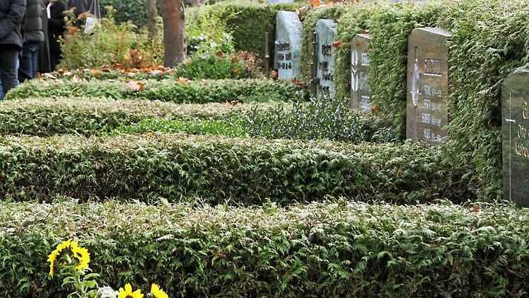 Die Thuja-Reihen prägen den Friedhof in weiten Teilen. Das könnte sich durch die Sanierung ändern. Fotos: Heike Beudert