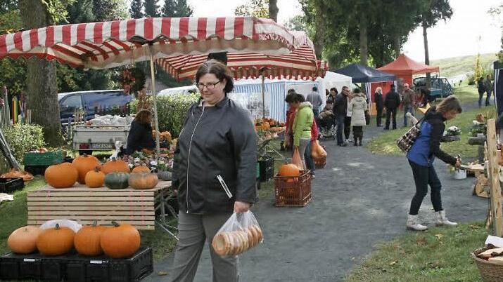 Kürbisse in allen Größen und Formen und vieles mehr gab es auch dieses Jahr am 3. Oktober im Park hinter dem Pressecker Rathaus. Foto: Klaus Klaschka