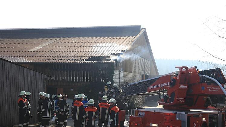 Foto: News5/Merzbach