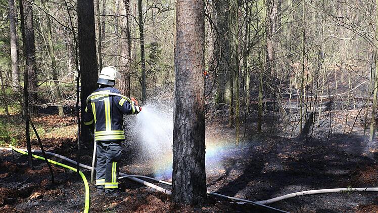 Bei einem Feuer im Kreis Nürnberger Land (Mittelfranken) gerieten am Freitag rund tausend Quadratmeter Wald in Brand. Die Feuerwehr rückte mit einem Großaufgebot an und löschte die Flammen. Foto: NEWS5 / Fechner