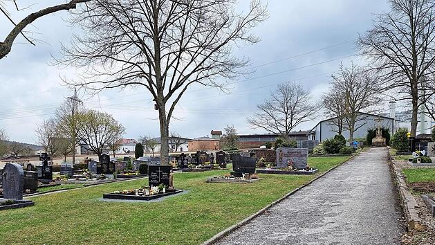 Friedhof in Zapfendorf: Auf vorhandene Freifl&auml;chen k&ouml;nnten zum Beispiel eine gr&ouml;&szlig;ere Urnenanlage oder ein Baumbestattungsfeld entstehen. Zu sehen ist auch der teilweise schlechte Zustand der Wege.