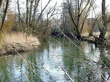 Die Itz bahnt sich ihren Lauf im Bereich von Rattelsdorf. Foto: Renate Neubecker