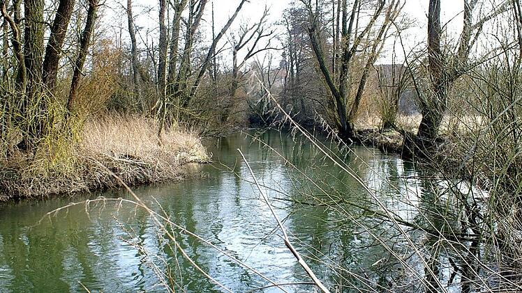 Die Itz bahnt sich ihren Lauf im Bereich von Rattelsdorf. Foto: Renate Neubecker
