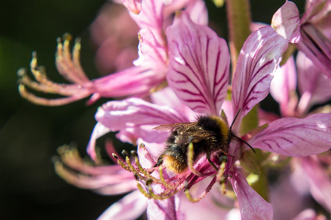 Fotos Konrad Thomann