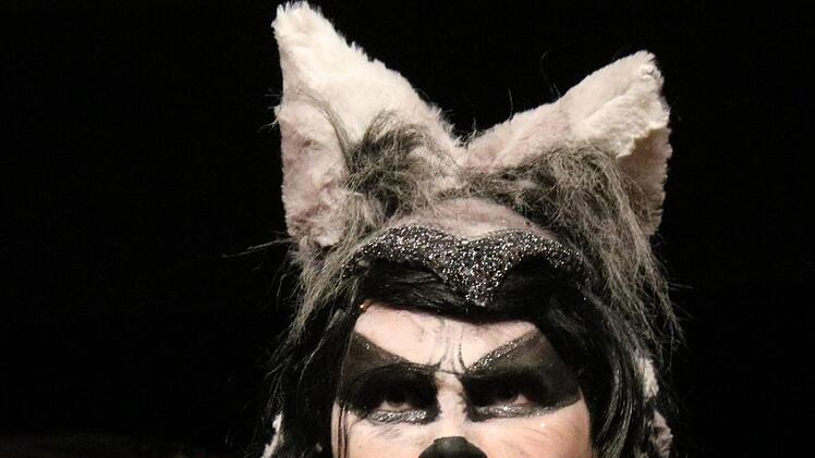 Prunksitzung 2019 in Stadtsteinach. Foto: Jürgen Gärtner