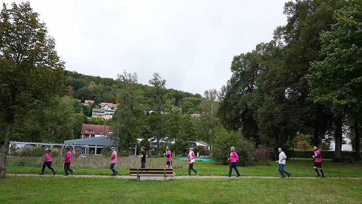 SPD-Ortsverein: Im Georgi-Park entstand dieses Bild, das an das Abbey Road-Plattencover der Beatles erinnern soll.  Foto: Steffen Hildenbrand
