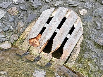 Das Holzgitter an der Kneippanlage von Zedernitz wurde vom Biber angenagt. Die Kneippenputzer nahmen es mit Humor, nagelten ein Brett dahinter und malten ein Bibergesicht darauf.